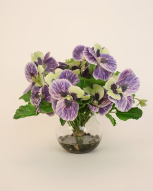 Анютины глазки 