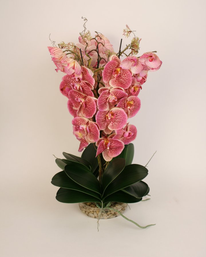 Композиция с фаленопсисом