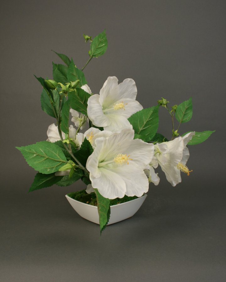 Композиция с белым гибискусом