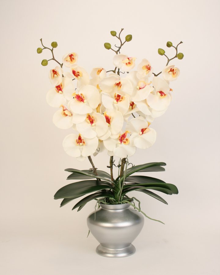 Композиция с орхидеей фаленопсис
