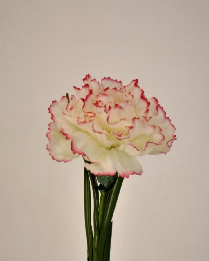 Гвоздика для декора интерьера