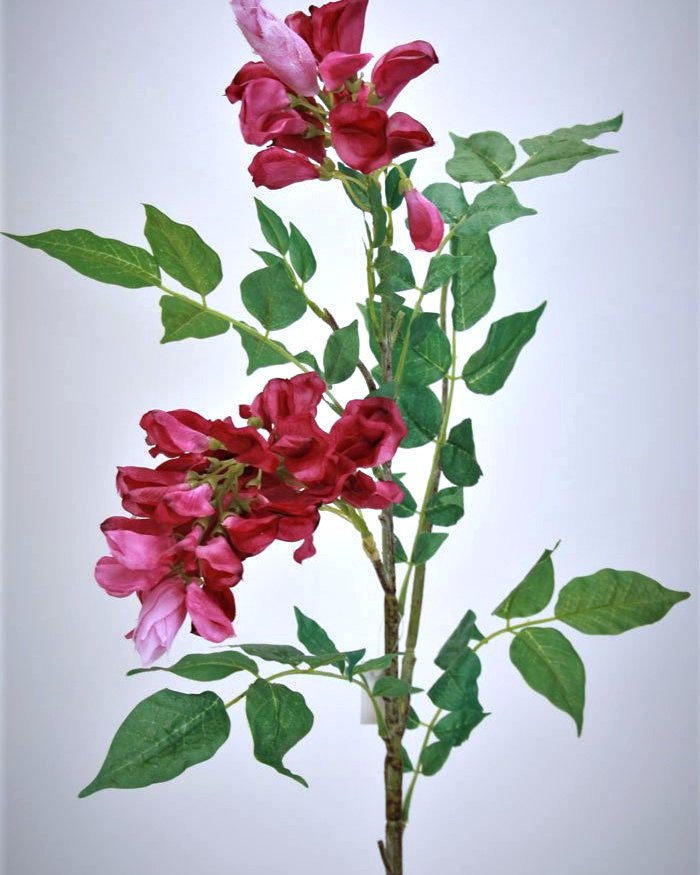 Акация для декора интерьера