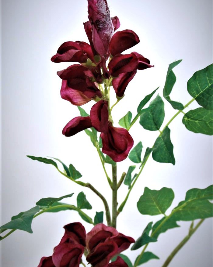 Акация для декора 