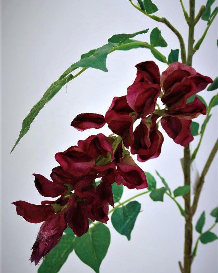 Акация для декора 