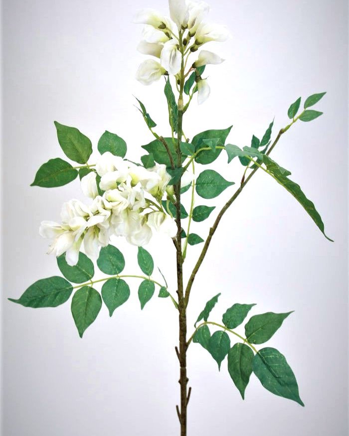 Акация для декора интерьера