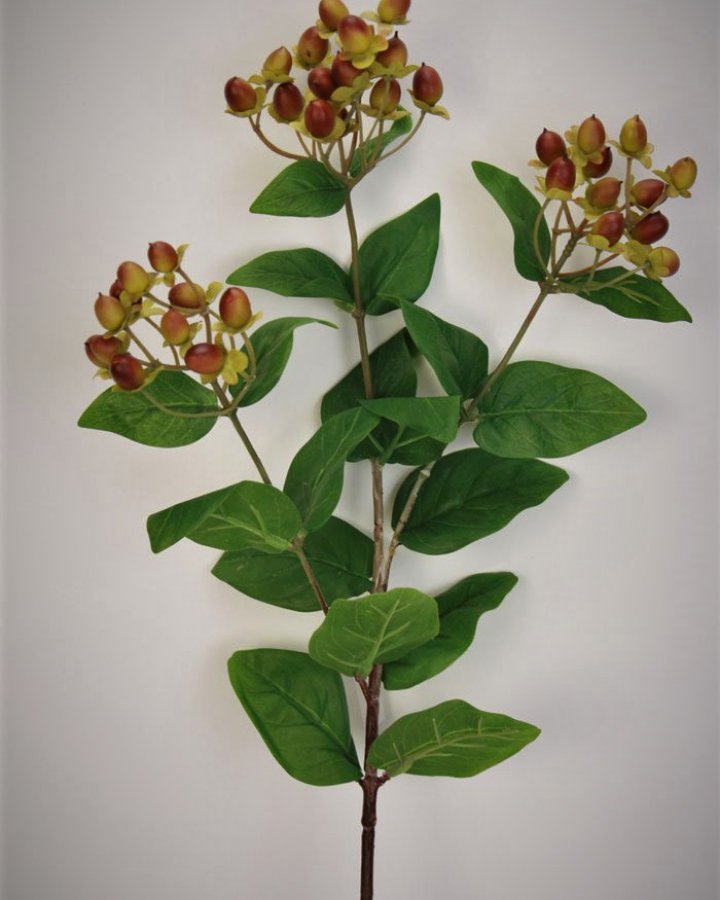 Гиперикум (ягоды зверобоя) для декора интерьера