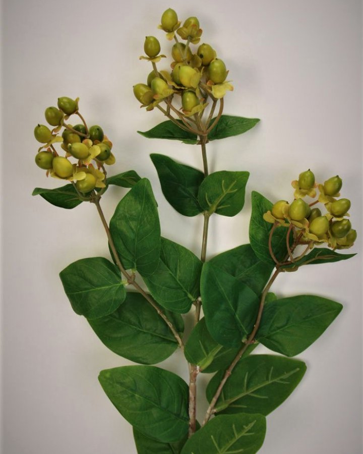 Гиперикум (ягоды зверобоя) для декора интерьера