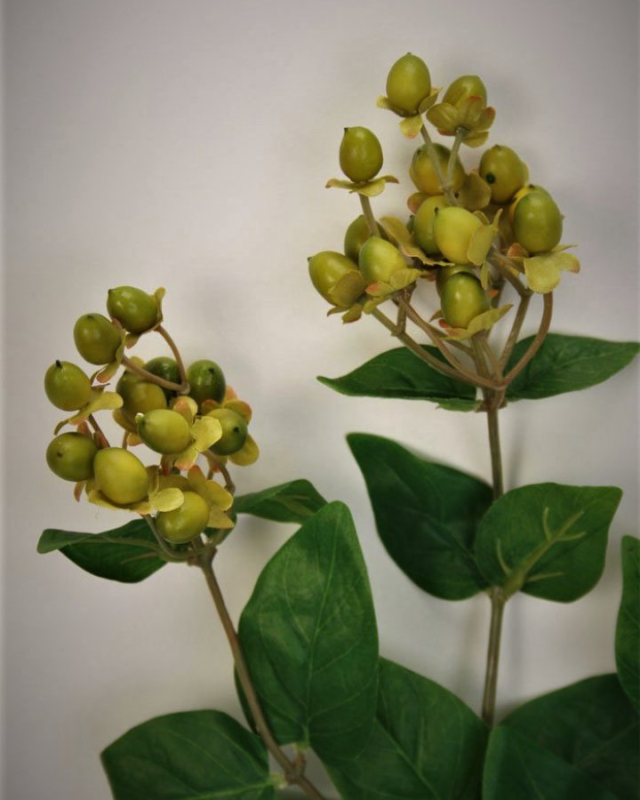 Гиперикум (ягоды зверобоя) для декора интерьера