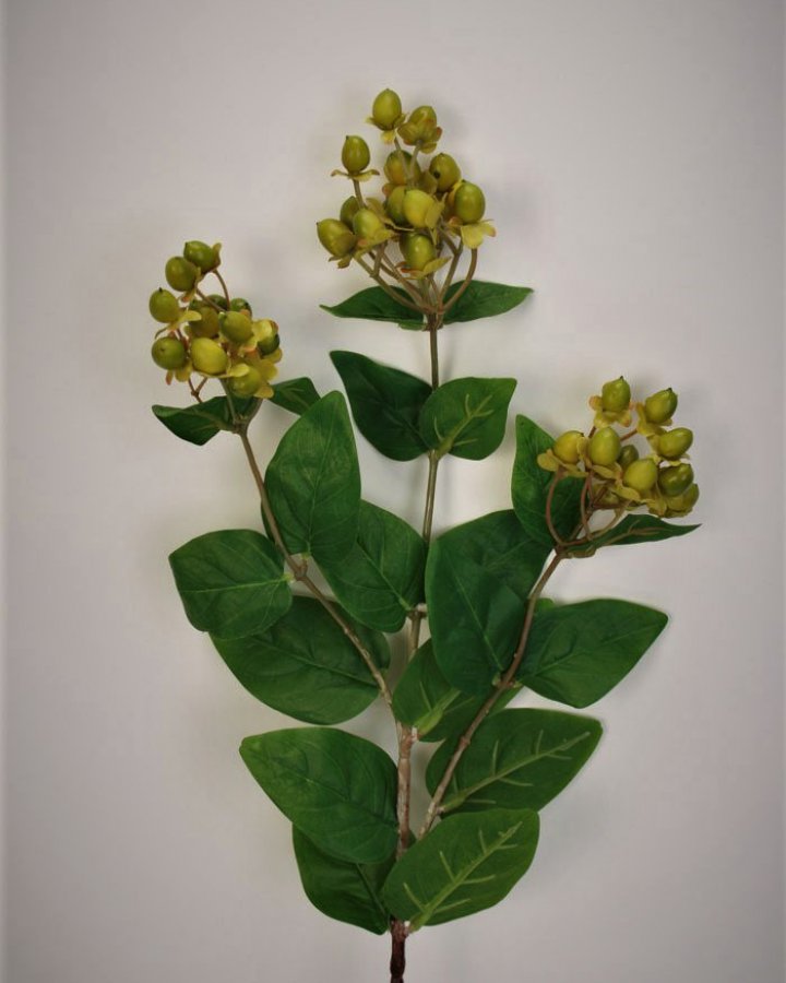 Гиперикум (ягоды зверобоя) для декора интерьера