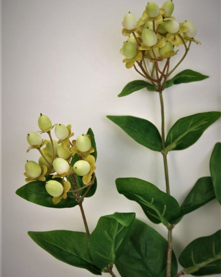 Гиперикум (ягоды зверобоя) для интерьерного декора