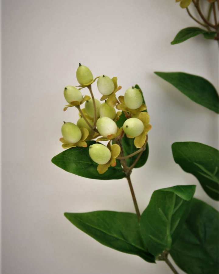 Гиперикум (ягоды зверобоя) для интерьерного декора