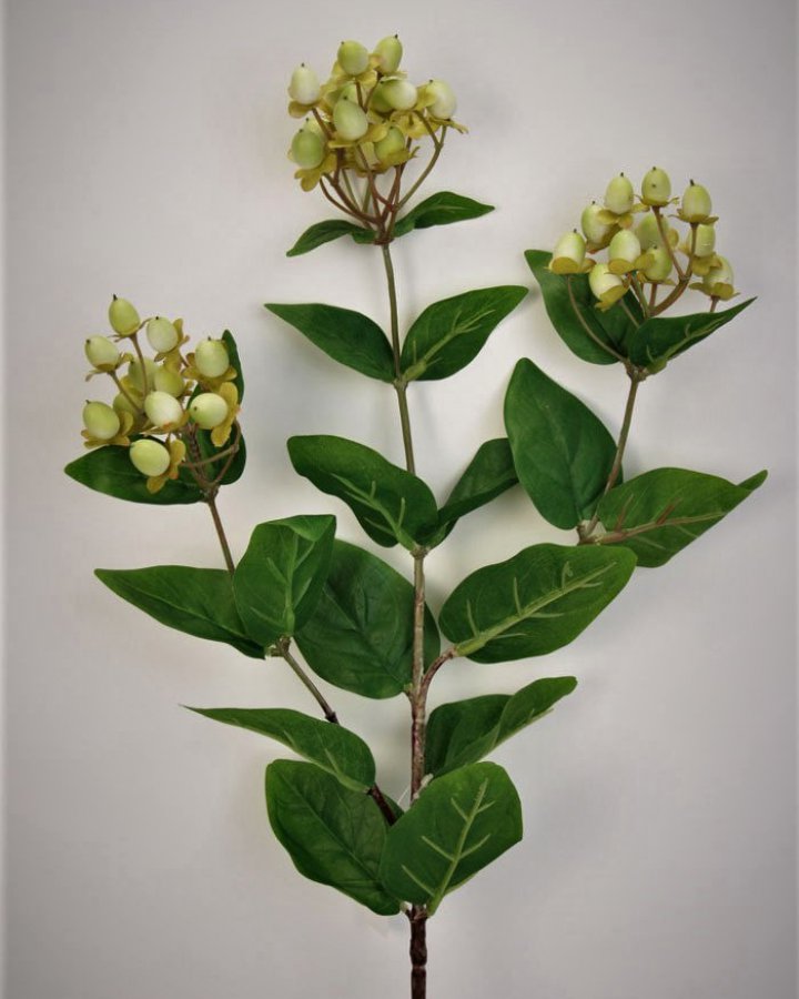 Гиперикум (ягоды зверобоя) для интерьерного декора