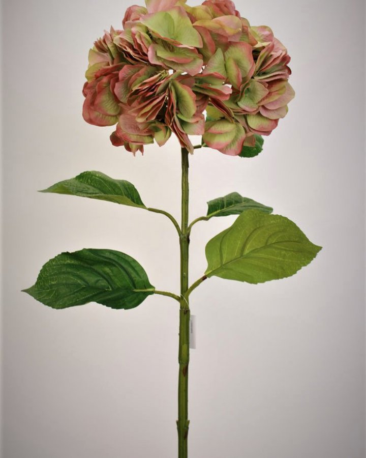 Гортензия "Энлес самме" для декора в винтажном стиле