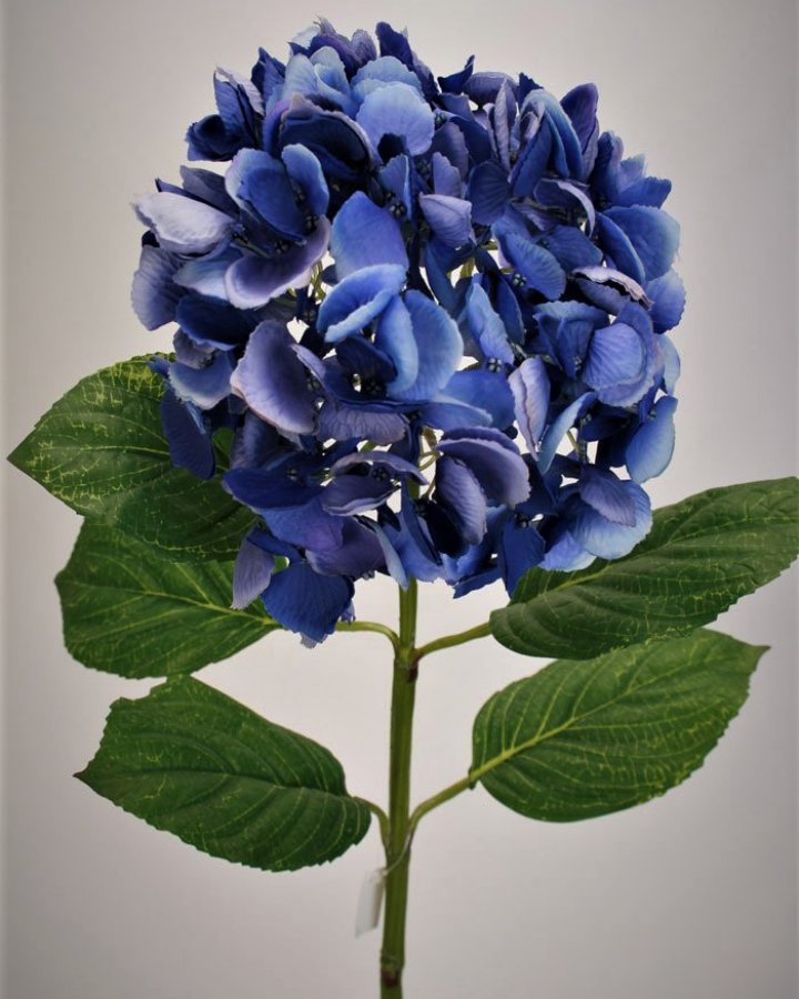 Гортензия "Энлес самме" для декора