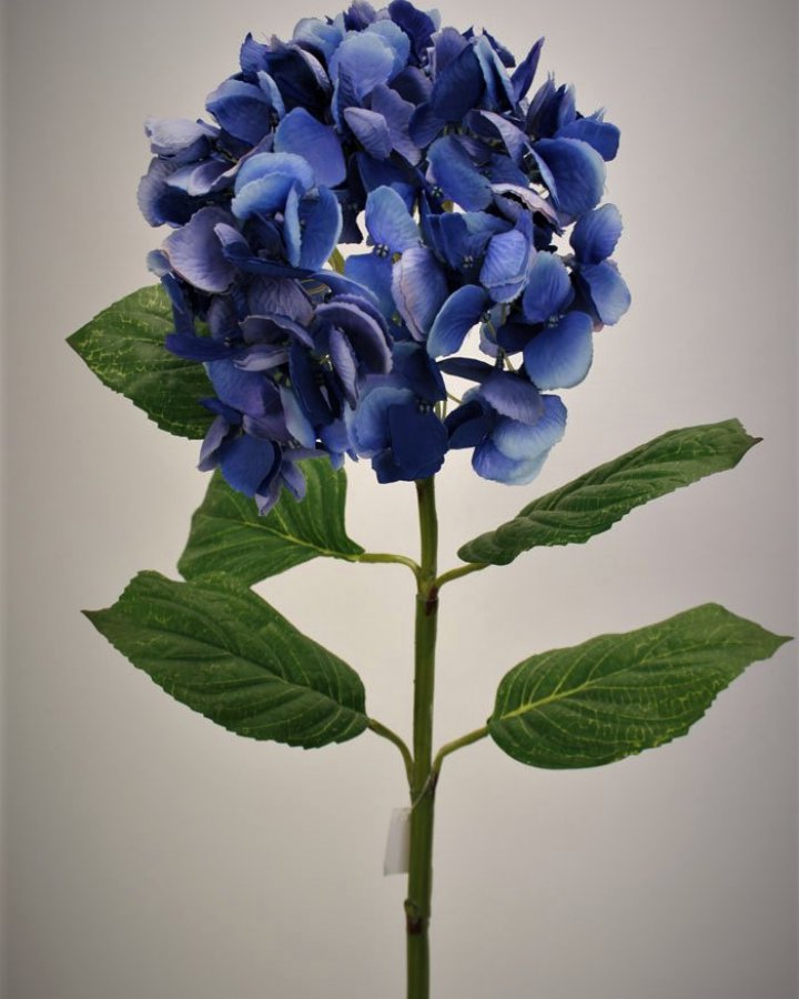 Гортензия "Энлес самме" для декора