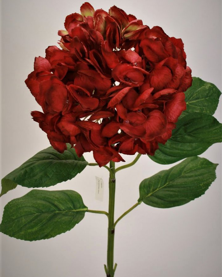 Гортензия "Энлес самме" для интерьерного декора