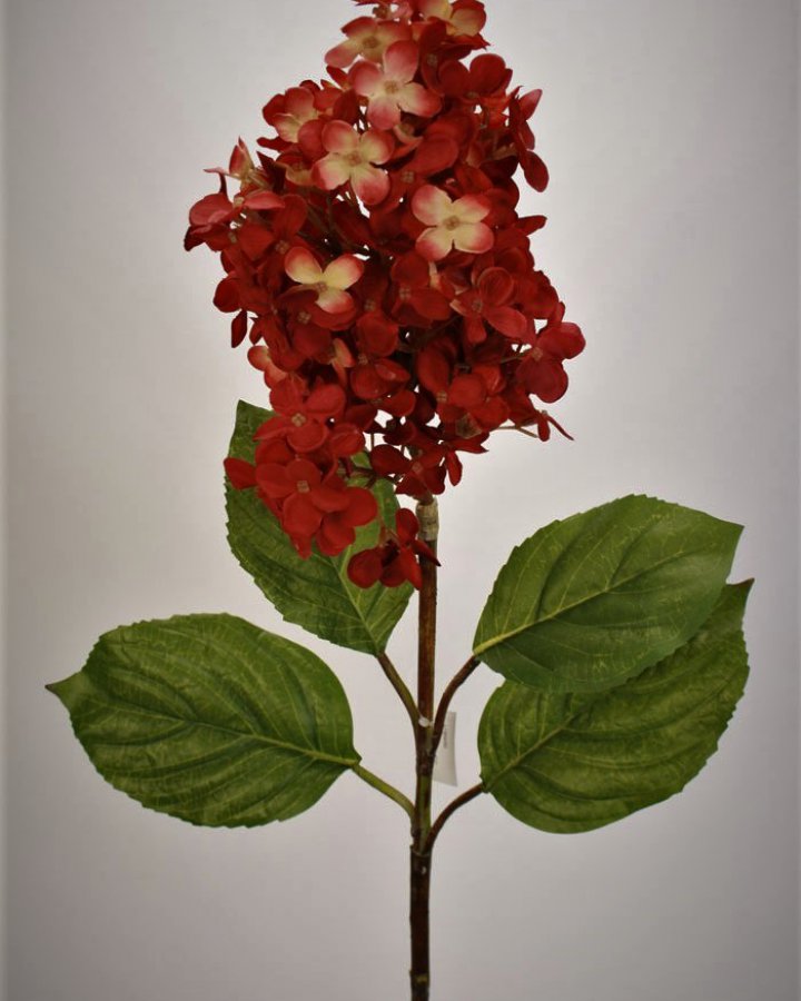 Гортензия метельчатая Грандифлора" для декора интерьера в винтажном стиле