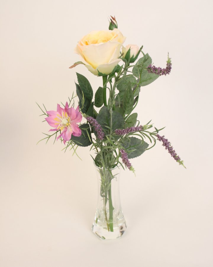 Роза Регина 3 шт