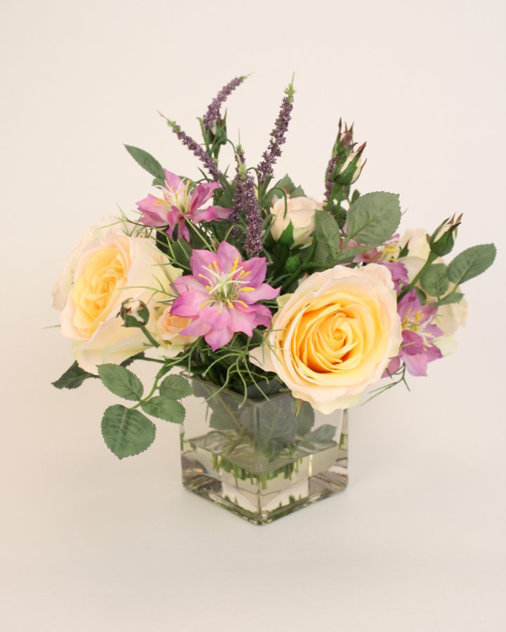 Роза Регина 3 шт