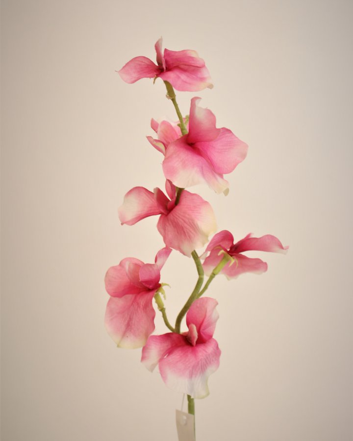 Душистый горошек "Королевская свадьба" для интерьера