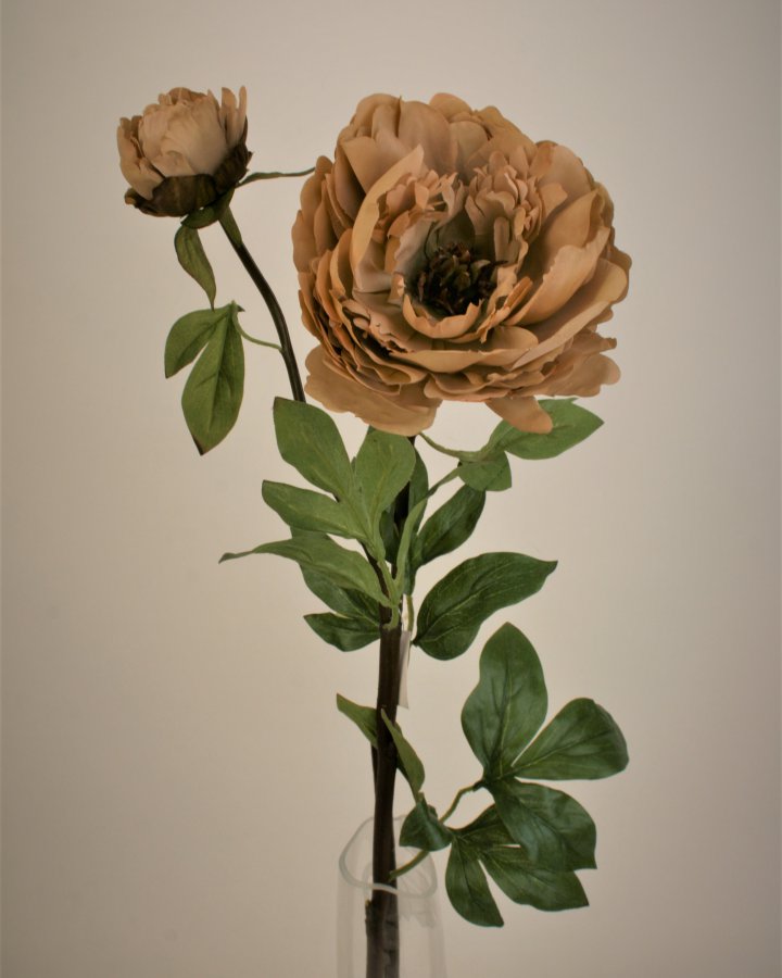 Пион "Роялс" для интерьерного декора в стиле ретро