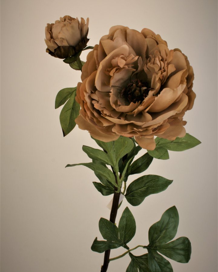 Пион "Роялс" для интерьерного декора в стиле ретро