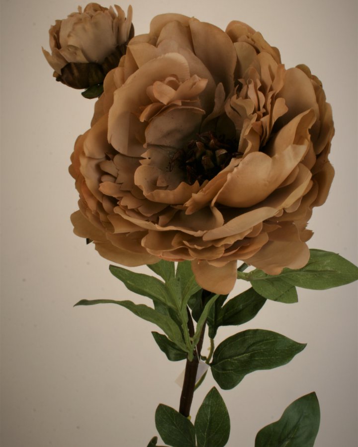 Пион "Роялс" для интерьерного декора в стиле ретро