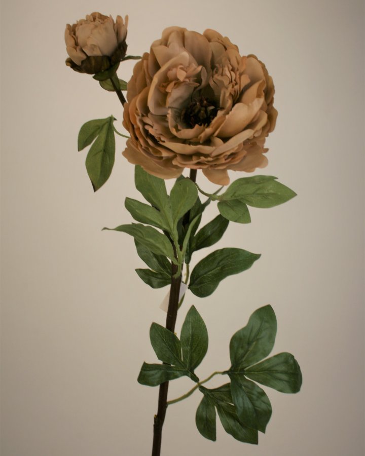 Пион "Роялс" для интерьерного декора в стиле ретро