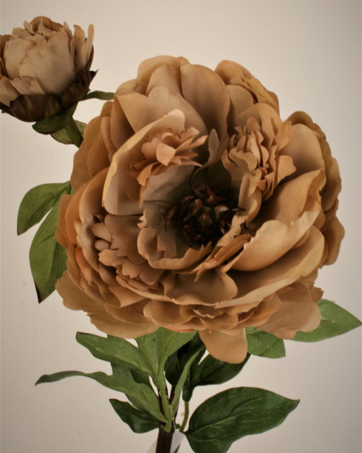 Пион "Роялс" для интерьерного декора в стиле ретро