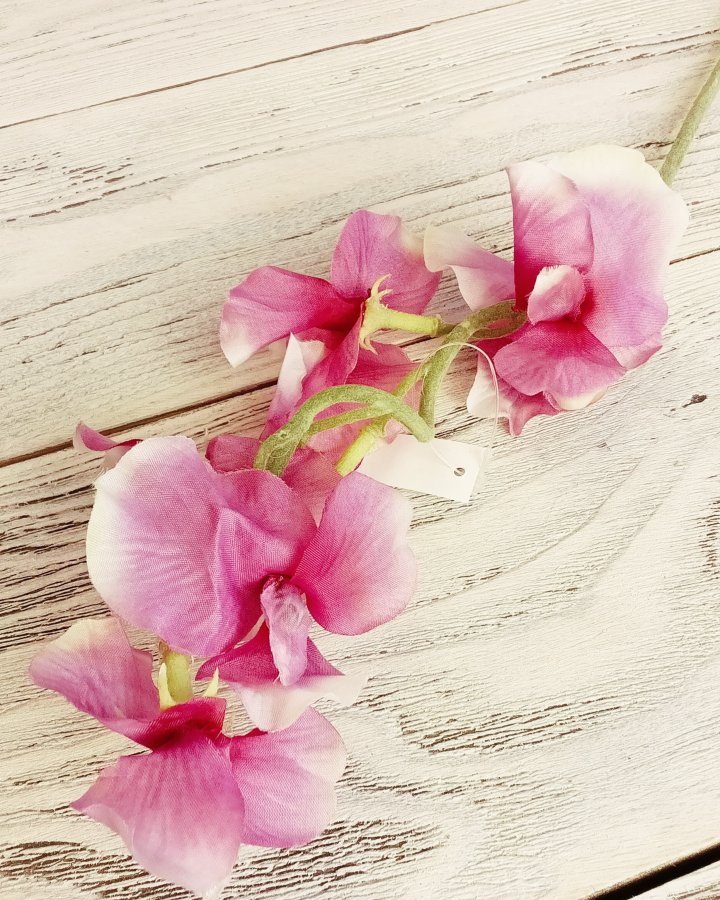 Душистый горошек "Королевская свадьба" для интерьера