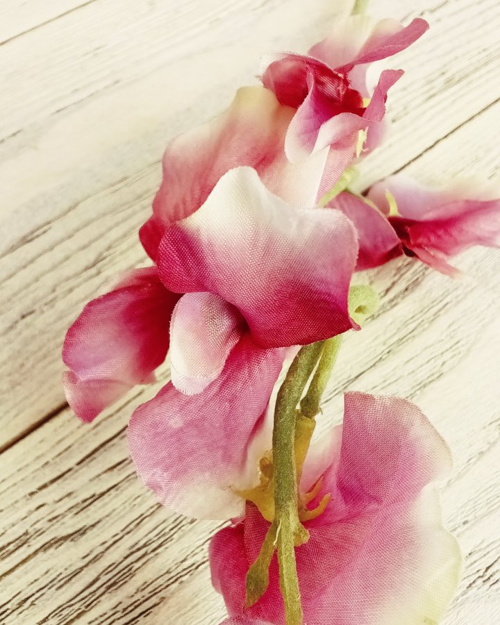 Душистый горошек "Королевская свадьба" для интерьера