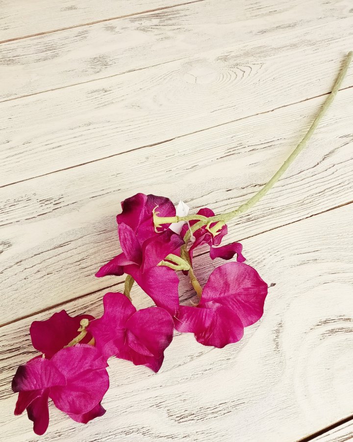 Душистый горошек "Королевская свадьба" для интерьерного декора