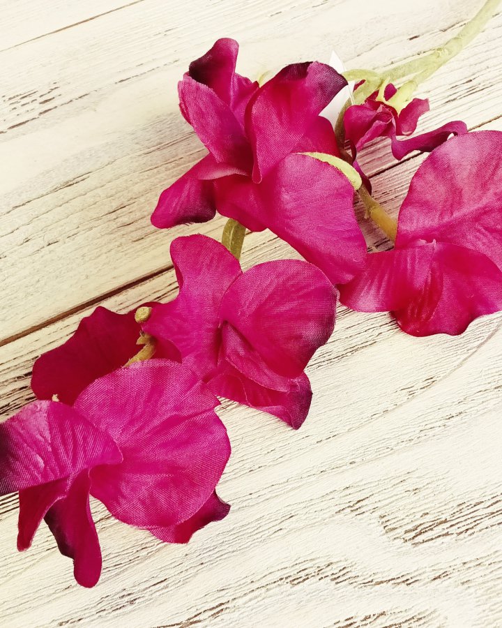 Душистый горошек "Королевская свадьба" для интерьерного декора