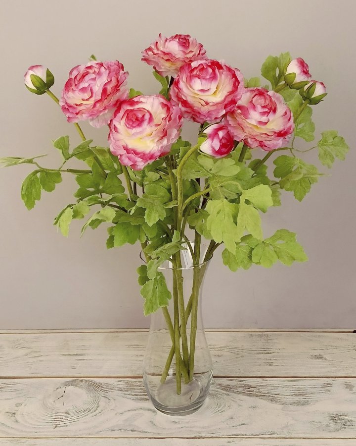 Лютик персидский (ранункулюс) для декора интерьера