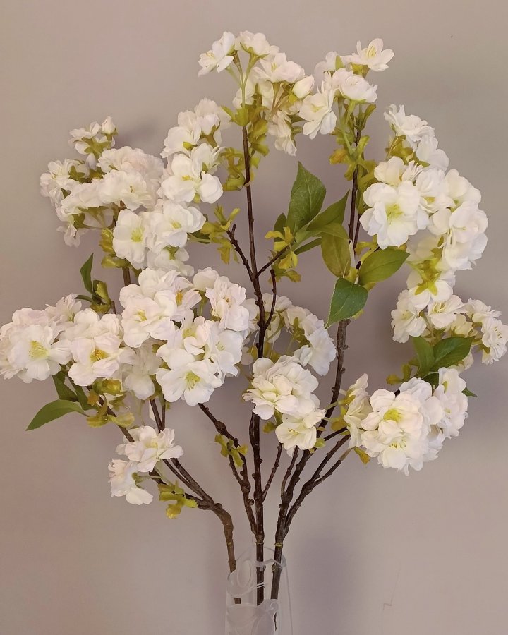 Сакура "Кванзан" для декора интерьера