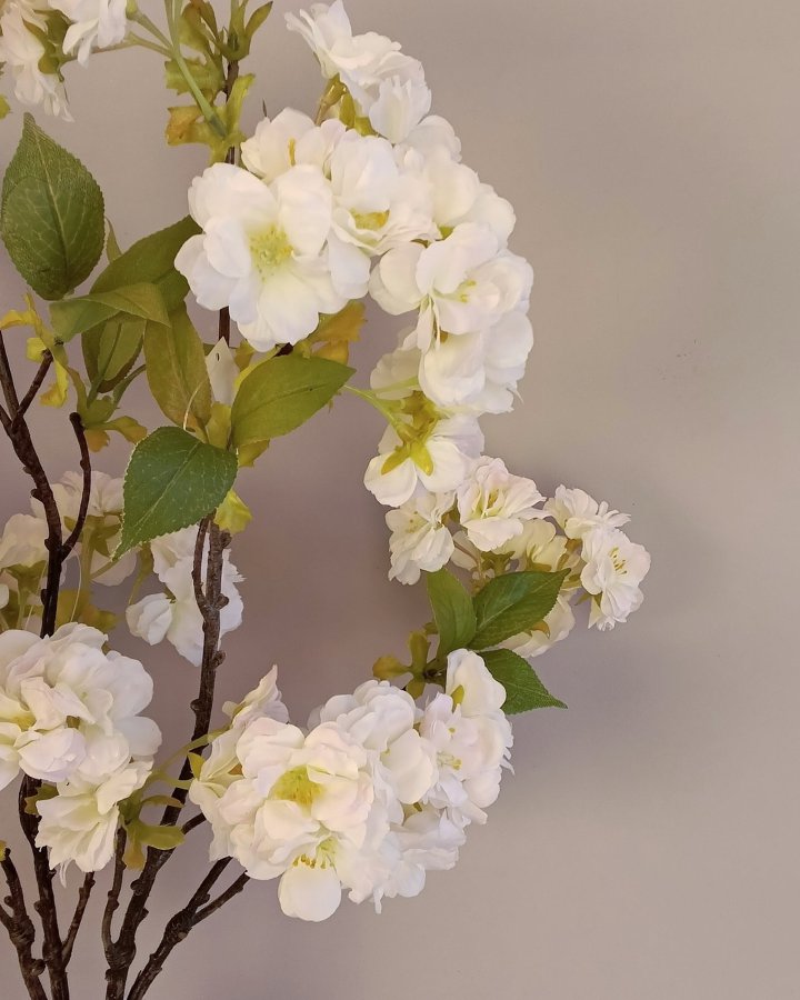 Сакура "Кванзан" для декора интерьера