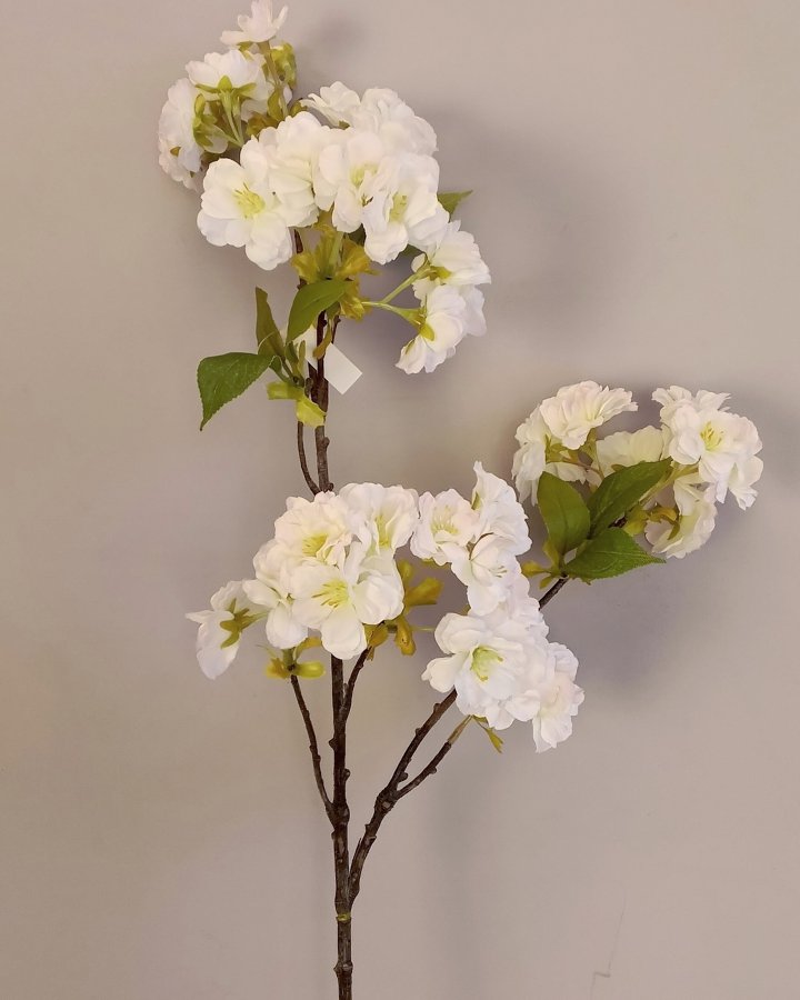 Сакура "Кванзан" для декора интерьера