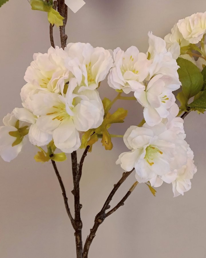 Сакура "Кванзан" для декора интерьера