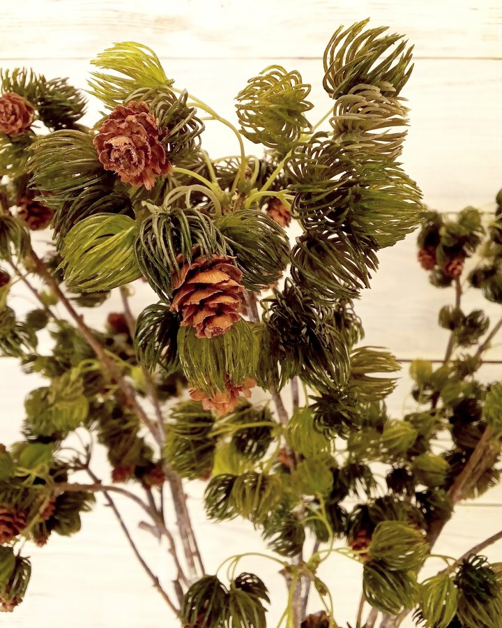 Ветка сосны с шишками для декора интерьера