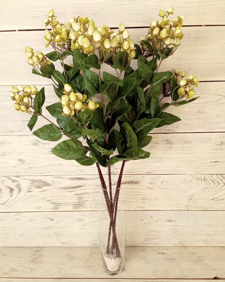 Гиперикум (ягоды зверобоя) для интерьерного декора