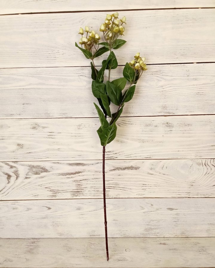 Гиперикум (ягоды зверобоя) для интерьерного декора