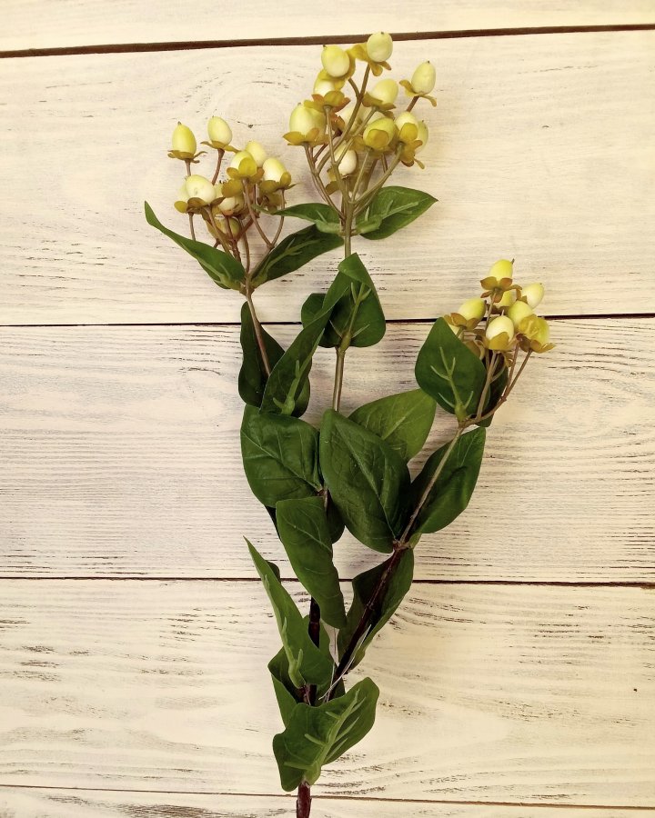 Гиперикум (ягоды зверобоя) для интерьерного декора