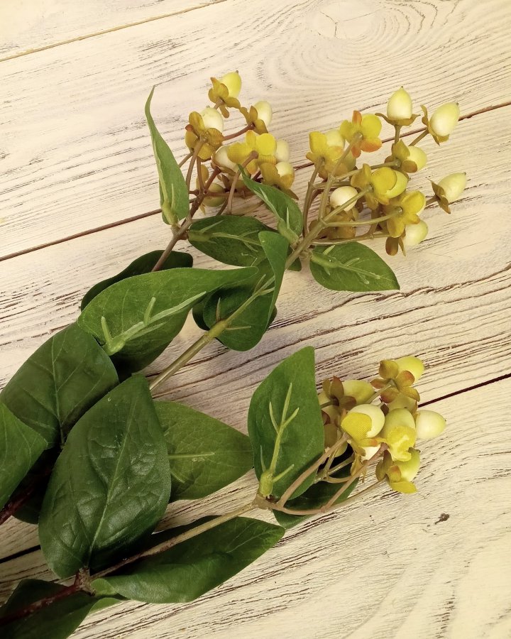 Гиперикум (ягоды зверобоя) для интерьерного декора