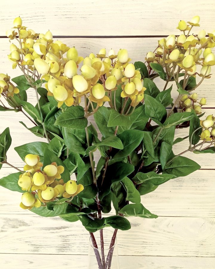 Гиперикум (ягоды зверобоя) для интерьерного декора