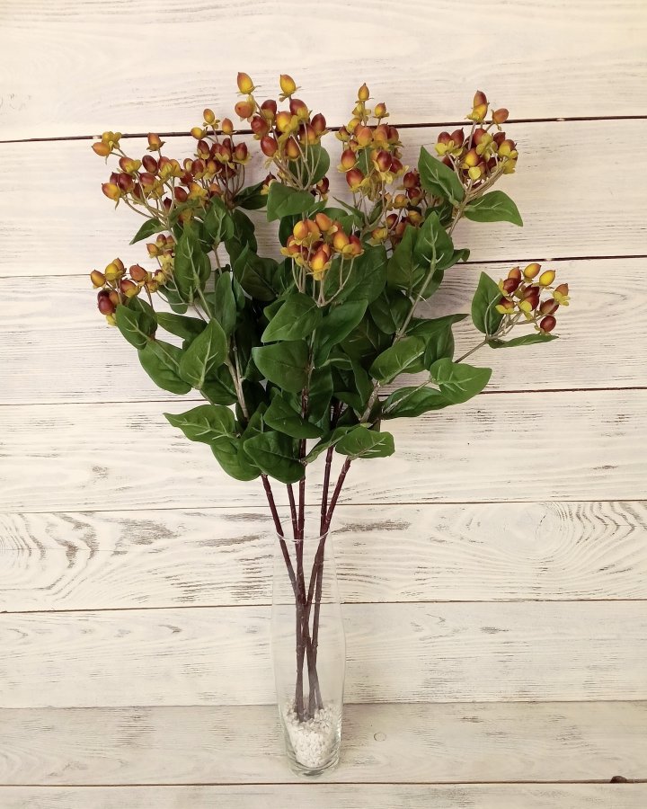 Гиперикум (ягоды зверобоя) для декора интерьера