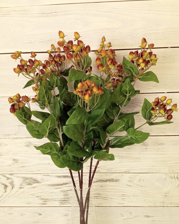 Гиперикум (ягоды зверобоя) для декора интерьера