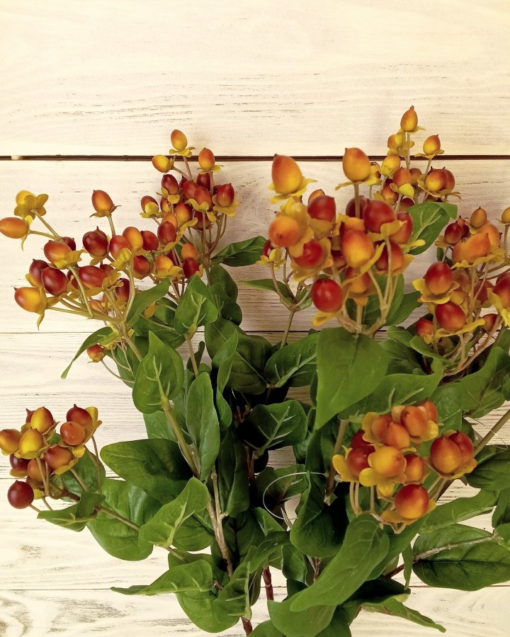 Гиперикум (ягоды зверобоя) для декора интерьера