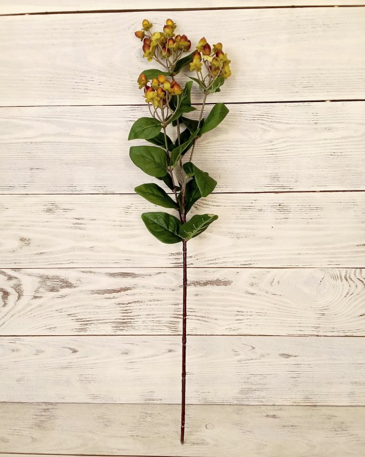 Гиперикум (ягоды зверобоя) для декора интерьера