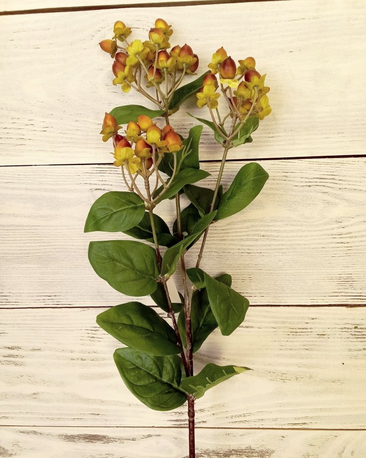 Гиперикум (ягоды зверобоя) для декора интерьера