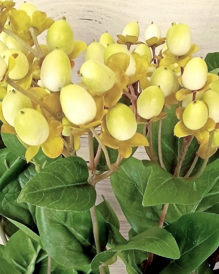 Гиперикум (ягоды зверобоя) для интерьерного декора